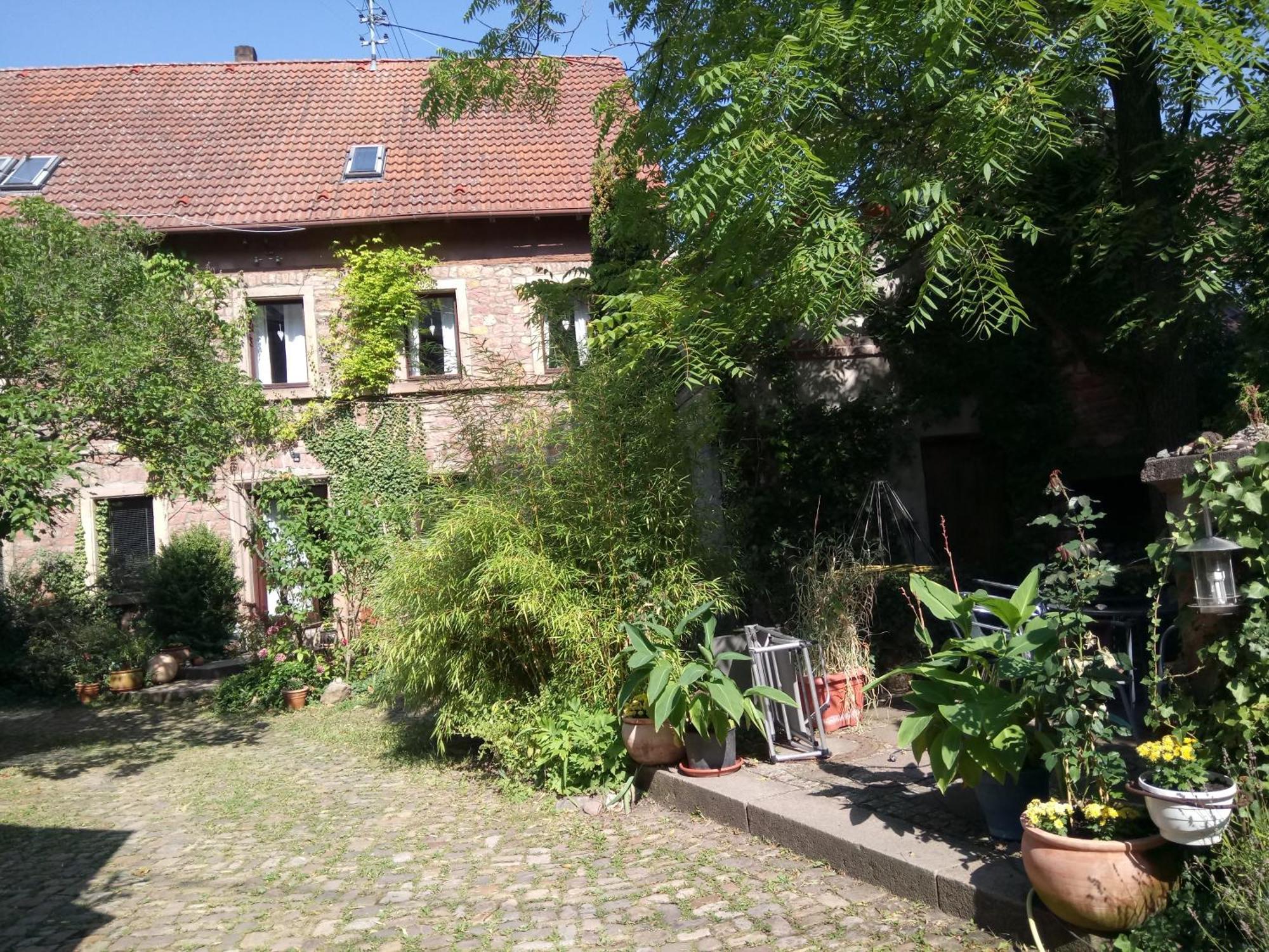 Villa "Casita Linda "Am Donnersberg à Dannenfels Extérieur photo
